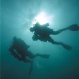 Descubre el Tec Diving